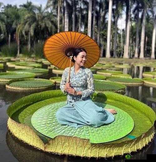 新疆女人活体莲花的真实样貌揭秘:神秘文化与自然之美的完美结合