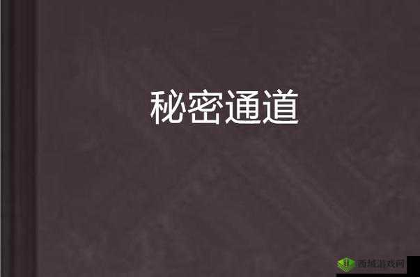 探索98精品国产㊙️入口:深入了解国内优质资源的秘密通道与独特魅力