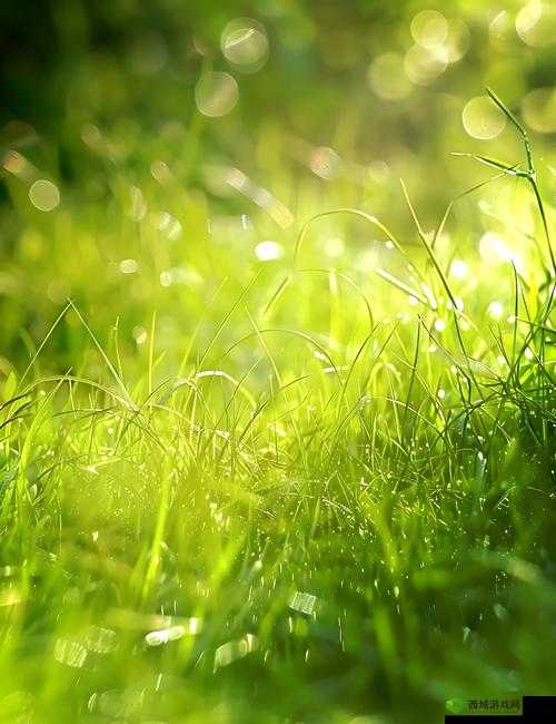 青青草天美XXX久久:探索自然之美与长久魅力的完美结合,感受绿色生活的无限可能