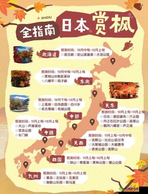 2024 年日本人文艺术欣赏有哪些独特之处？如何深入领略其魅力？