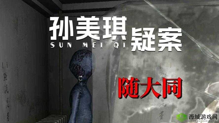 孙美琪疑案郎威,揭开账目线索的神秘面纱