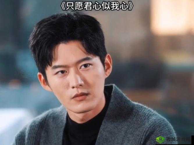 只愿君心似我心第14关深度攻略,解锁爱情谜题