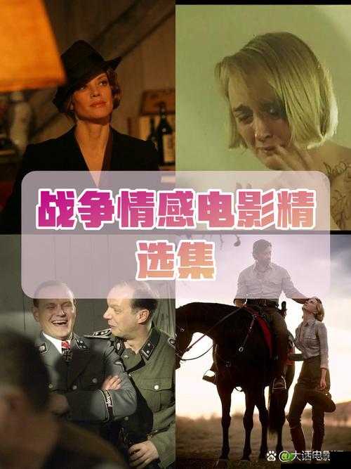 我和子的乱合集:深度解析与情感交织的真实故事分享