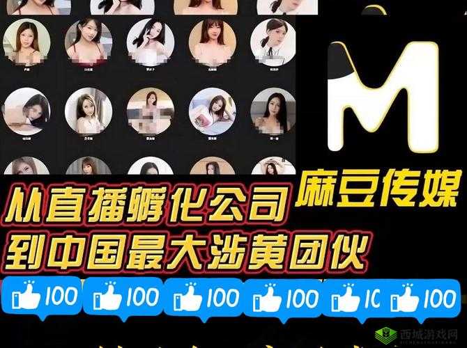 麻豆精品㊙️国产传媒MV红海到底是什么?为何引发众人关注与热议?