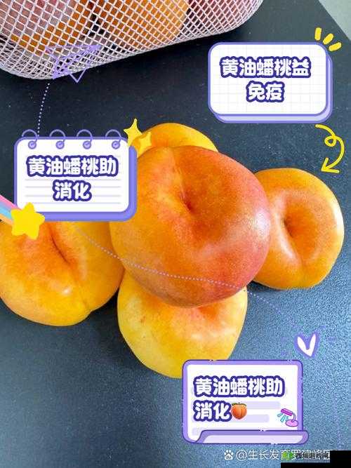 安卓像素黄油桃子是什么？为何它能在网络上引起广泛关注？安卓像素黄油桃子为何如此热门？背后的原因你知道吗？想了解安卓像素黄油桃子？快来一探究竟它的独特魅力