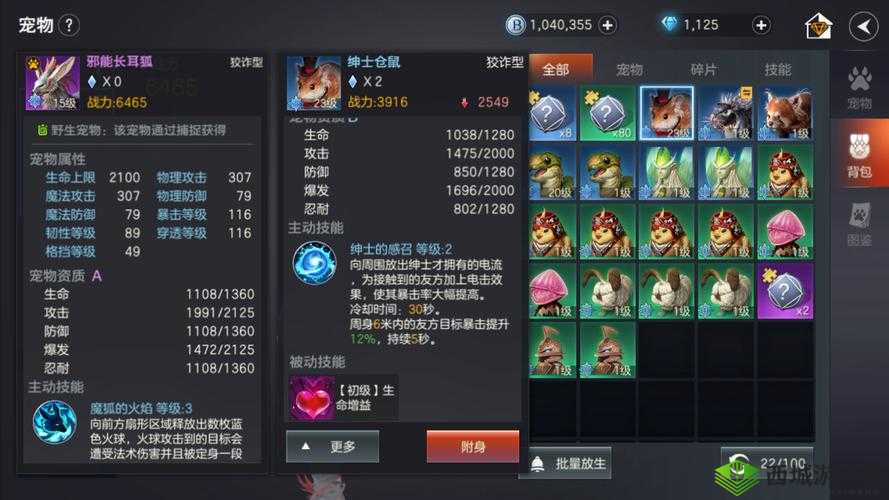 余烬风暴中的全能守护者,圣骑士职业技能属性全解析