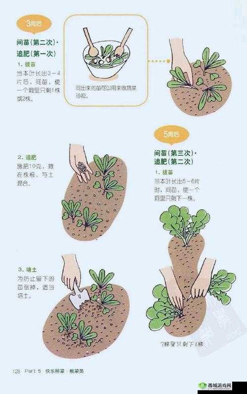 如何正确拔出萝卜?超详细姿势图解大放送