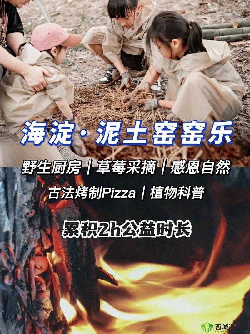 野生厨房几点更新?想知道的快来这里详细解答