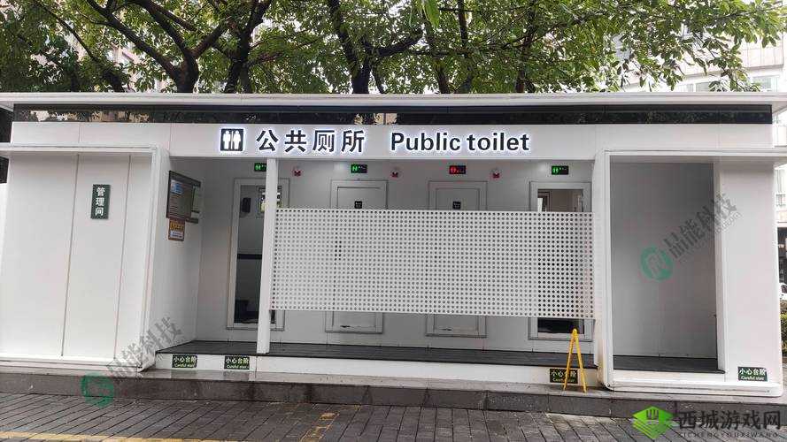 探索最漂亮沟厕女厕三沟厕的设计与实用性:现代公共卫生设施的新标杆