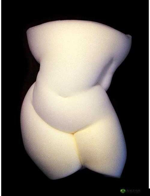 如何看待 MetArt 淑女裸体?这种现象是否符合道德和伦理标准?