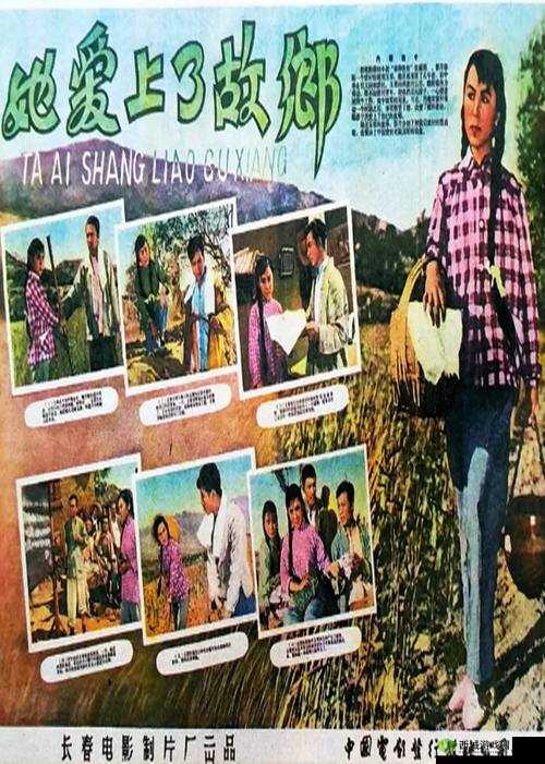 爱情岛论坛 vip.路线:探索爱情的神秘花园