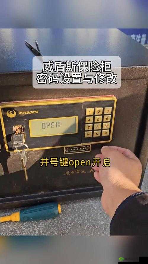 秘馆疑踪保险箱密码是多少,保险柜密码介绍在资源管理中的重要性及高效管理技巧