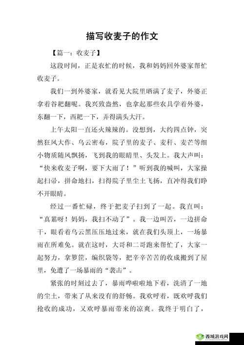 朋友换麦子 1 到底是怎么回事?深入解读朋友换麦子 1 的背后故事