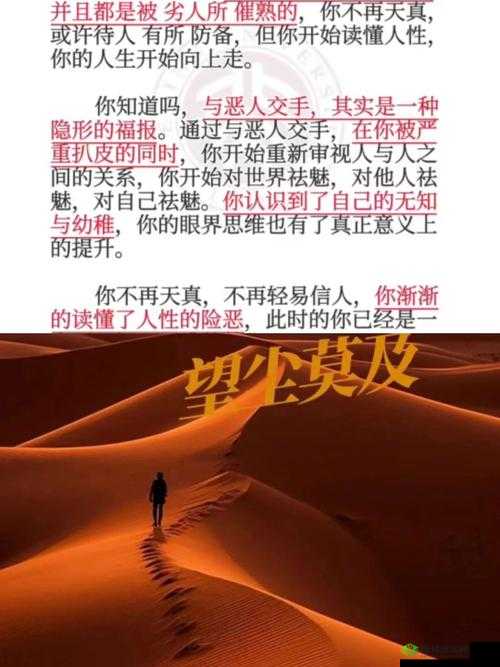 大但人文 limited 资源为何如此稀缺?探寻背后的神秘力量