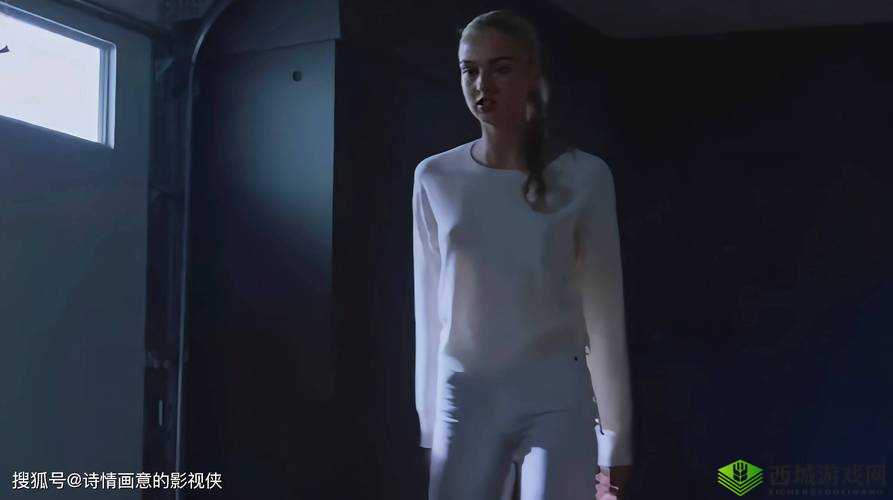 欧美人与牛zOZ0性行为：探讨背后的文化差异与伦理争议