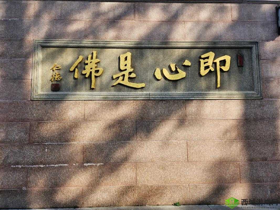 师父不可以限弥弥是什么意思?为何它备受关注?快来一探究竟