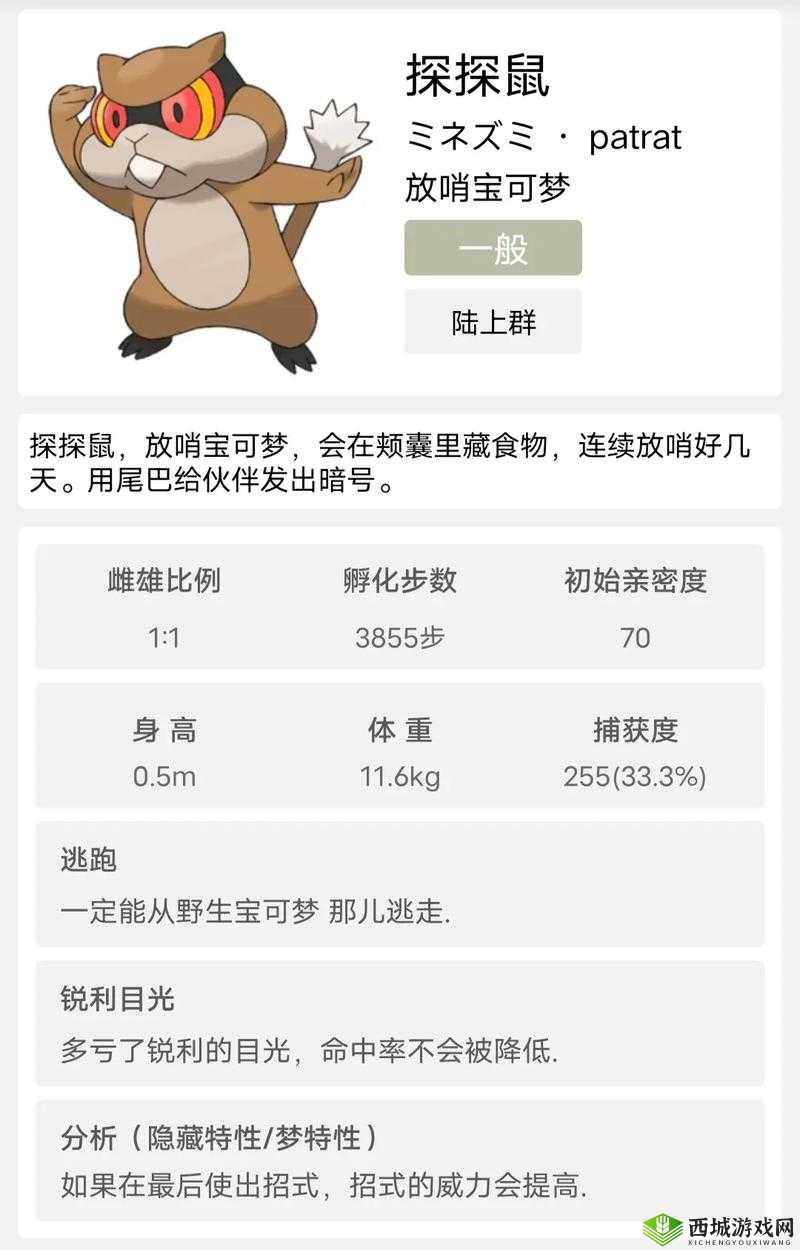 造梦无双吱吱鼠怎么样?宠物技能与进化路线一览