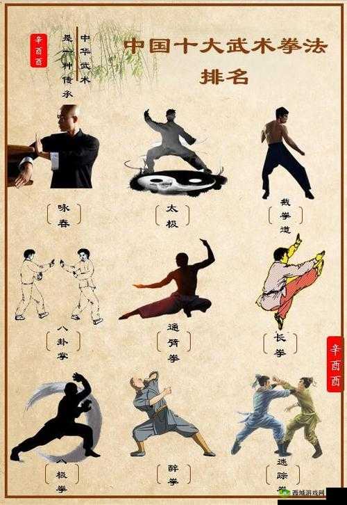 我也是大侠，拳法大全与属性深度解析