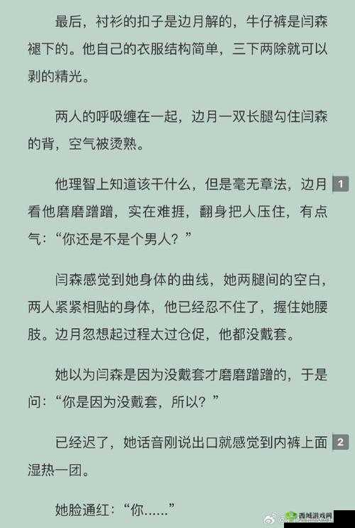 白洁王申高义小说在线阅读:一段禁忌的爱情故事
