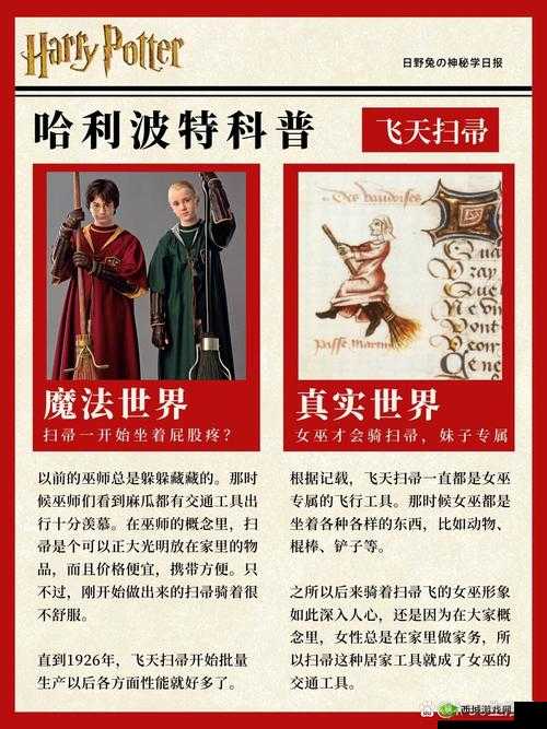 哈利波特魔法觉醒飞行扫帚购买指南及未来玩法革命预测
