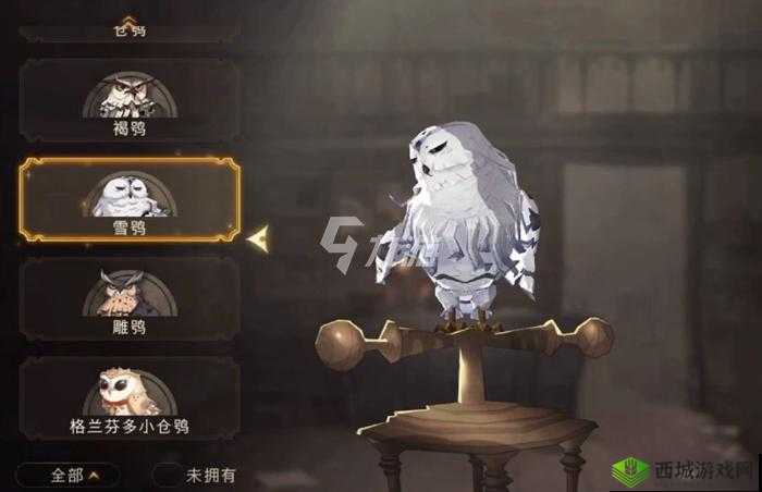 哈利波特魔法觉醒猫头鹰商店全攻略,位置、进入方法与优化建议