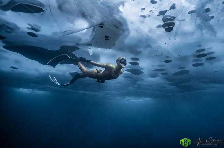 探索Z0OSkO0l重口另类世界:揭秘独特风格与创意表达的全新视角