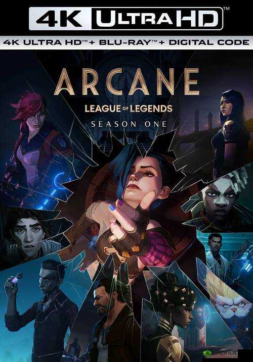 美国少归在线观看免费资源大合集:高清无码全集一键畅享,最新剧集实时更新