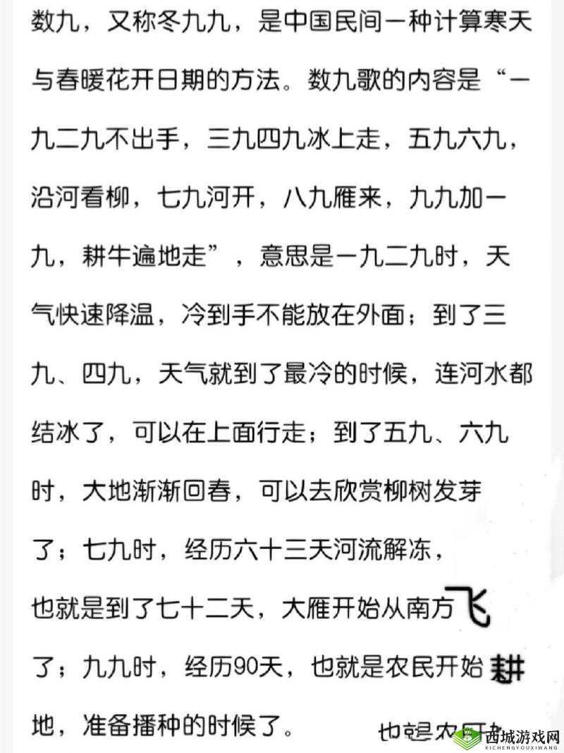 太九 7A19 究竟是什么?它有怎样独特的意义和价值?快来一探究竟