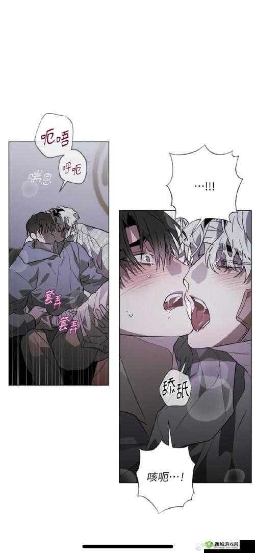 十冷2第四章隐藏攻略,年轻的车夫,隐藏的宝藏与谜题