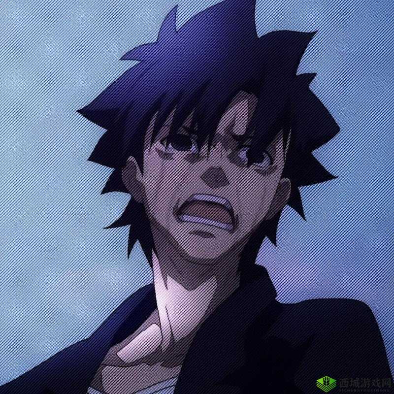 在探索圣杯战争的真相之路上，卫宫切嗣能否实现自己的理想？