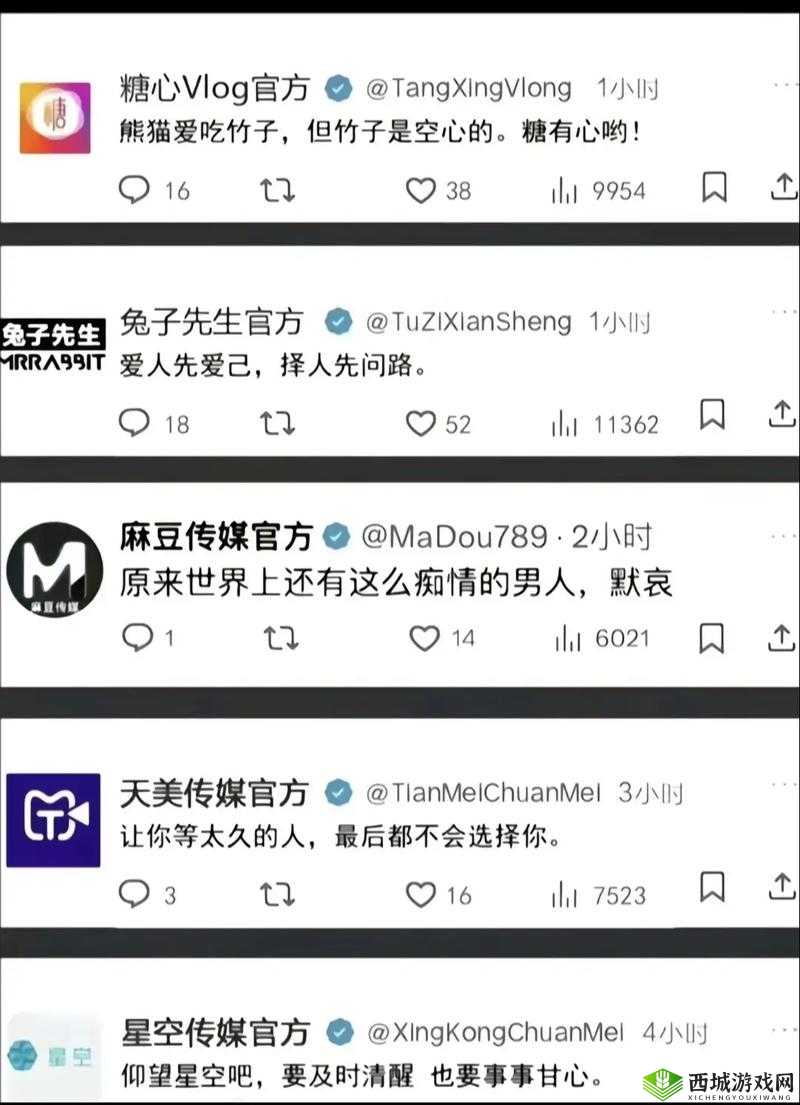 天美传媒.com究竟是什么?带你深入了解其背后的秘密与内容