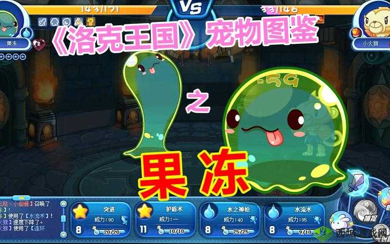 弹力果冻脆脆块,宠物界的攻击BUFF大师