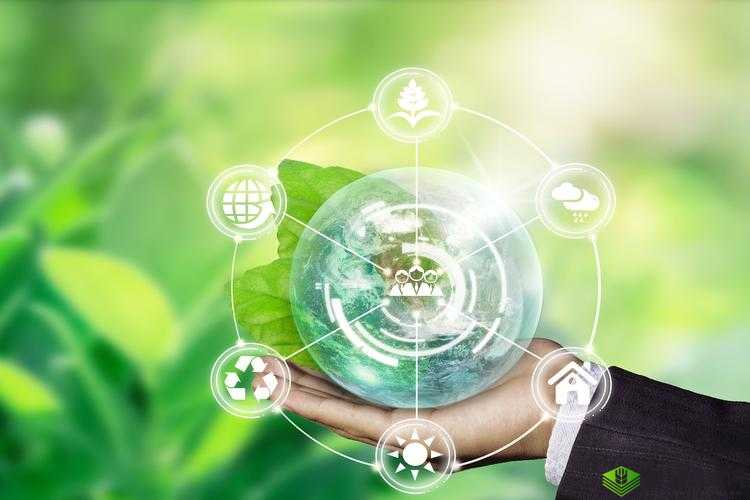 妙啊困难第6关攻略，资源管理、高效利用与避免浪费