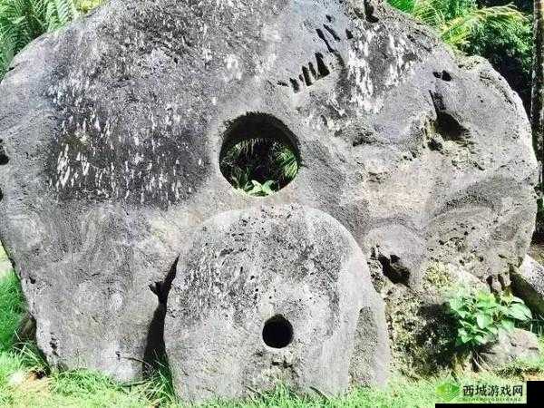 海岛纪元石币有什么用,石币作用详细介绍