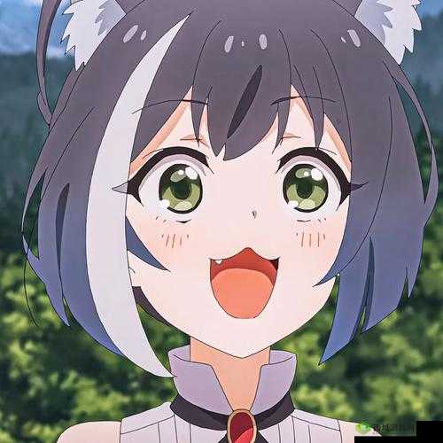 公主连结怎么换头像,玩家投向更换方法一览及其演变史专题