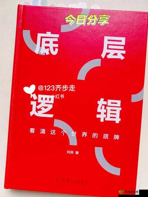 动物安排员第22关三星攻略,底层逻辑与操作映射详解