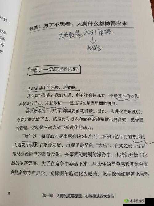 脑洞大侦探找隐藏第二关攻略，底层逻辑与操作映射的深度剖析