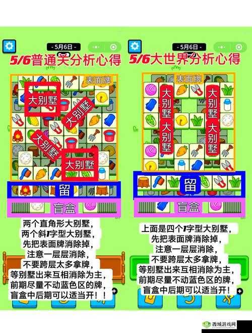 动物安排员第8关三星通关秘籍,智慧与策略的完美碰撞