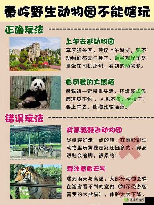 我是熊孩子动物流怎么玩?动物路线卡组推荐玩法深度解析