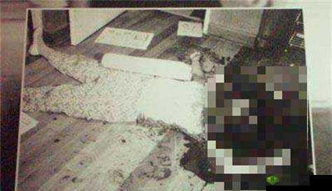 脑洞大开！揭秘甜品店死亡案真相