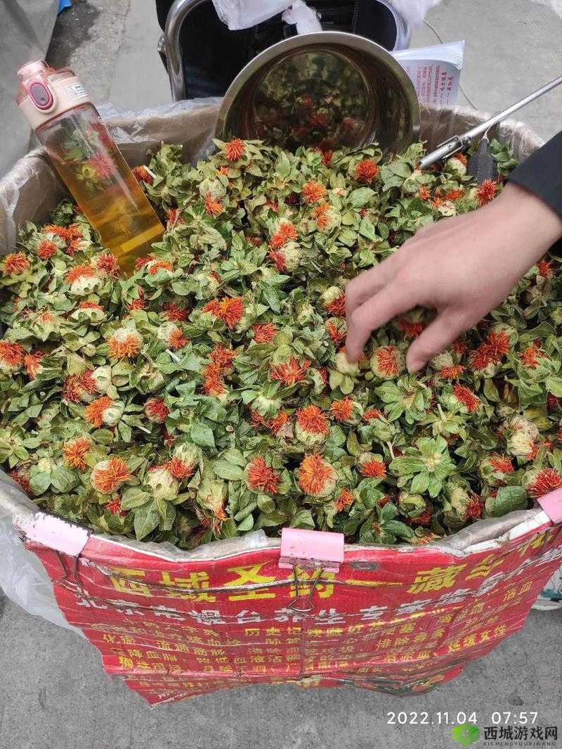 烟雨江湖藏红花怎么获得 藏红花获得方法介绍及玩法革命预测