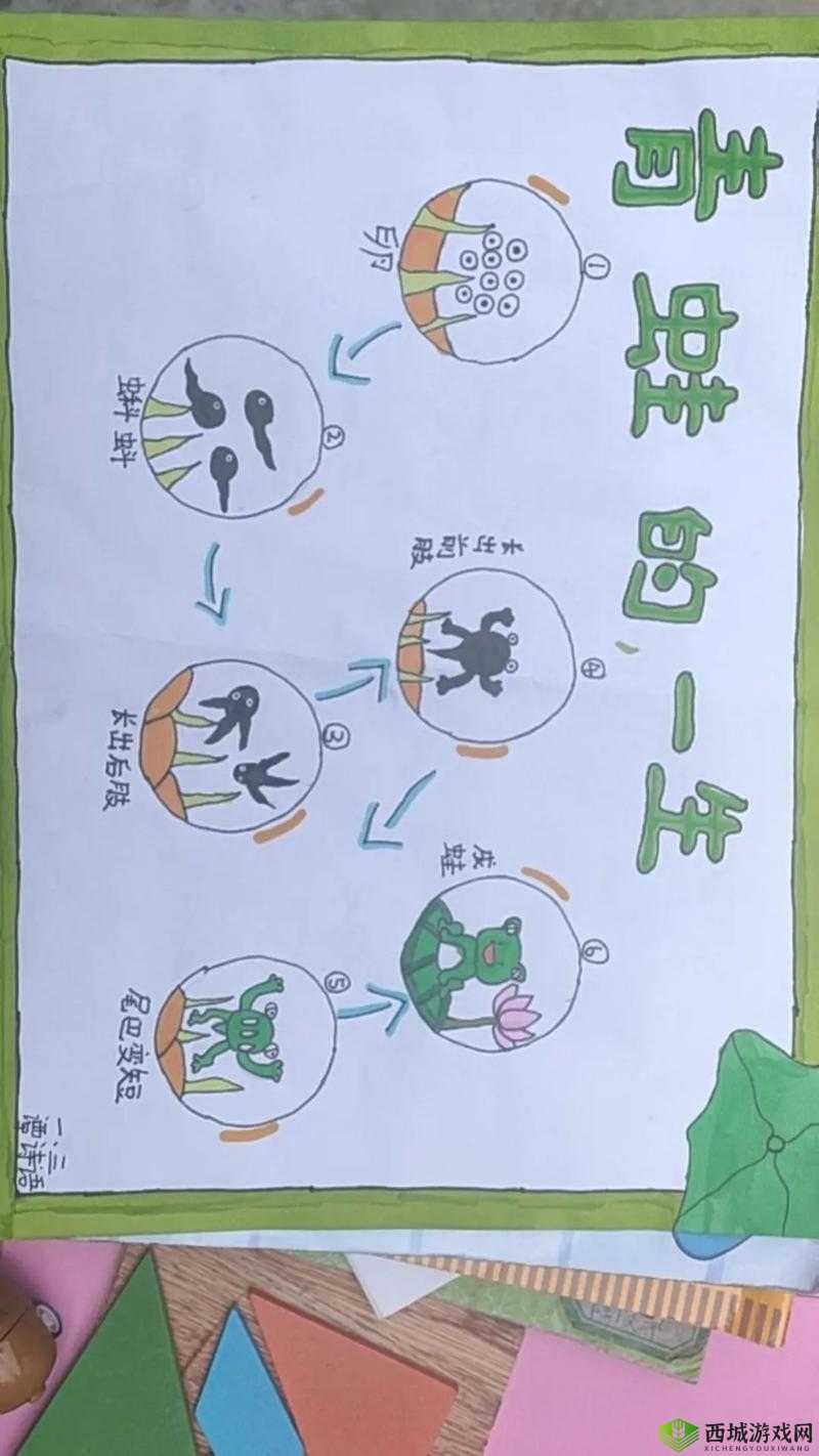 抖音蝌蚪游戏蝌蚪变青蛙深度解析及未来玩法革命预测