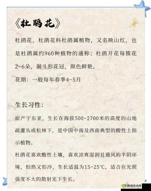 烟雨江湖杜鹃花在哪?杜鹃花坐标位置介绍