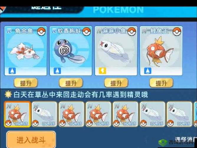 Pokemmo暴鲤龙技能搭配全攻略,打造你的战斗巨兽
