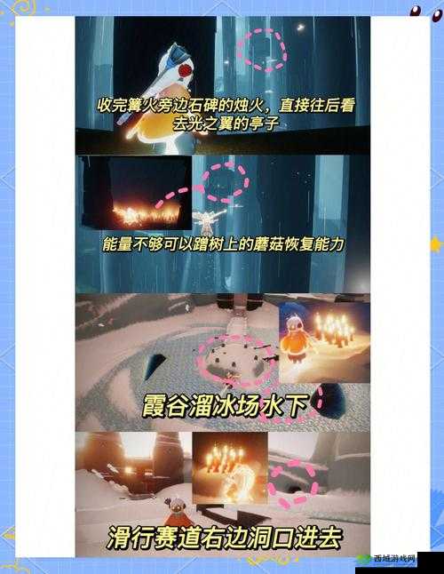 光遇花树祝福怎么用?这篇攻略让你瞬间成为烛火大神!🔥