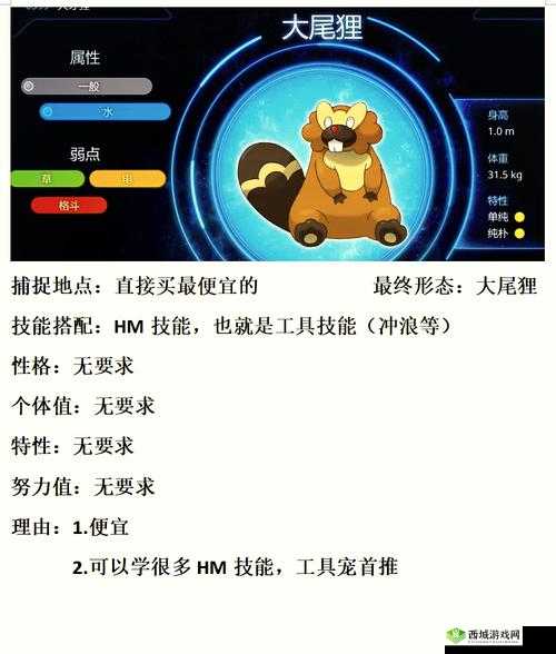 艾尔之光宠物进化全攻略!爆肝整理必看技巧,轻松解锁神宠